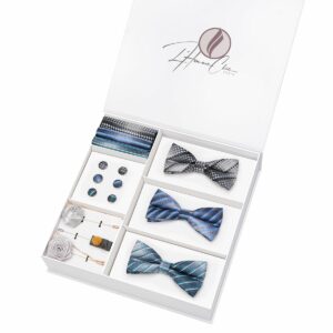 Set Noeud Papillon en Lot Bleu Gris à Rayure