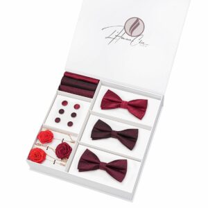 Set Noeud Papillon en Lot Bordeaux (Uni, Rayure et à Pois)